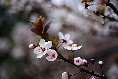 中国PC市场Q3出货超1500万台：联想第一 远超戴尔惠普